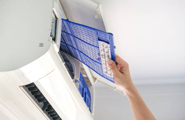 Best Air Quality Test  in Surrey, ND